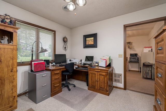 102 Terrace Vw E, Decoria Twp, MN 56001 - office with light carpet and a textured ceiling