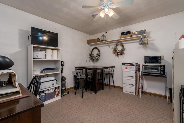 102 Terrace Vw E, Decoria Twp, MN 56001 - home office with ceiling fan and light carpet