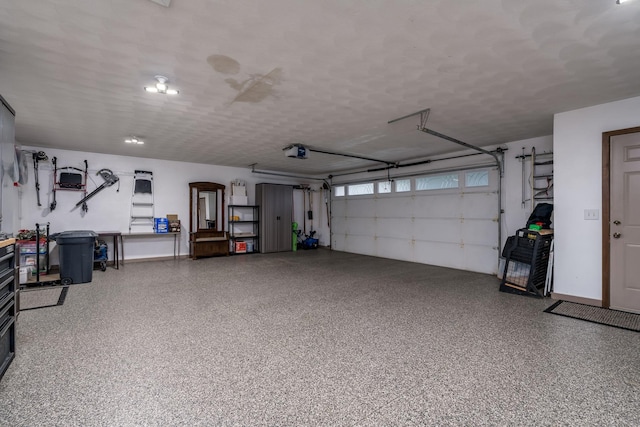 102 Terrace Vw E, Decoria Twp, MN 56001 - garage with a garage door opener and baseboards