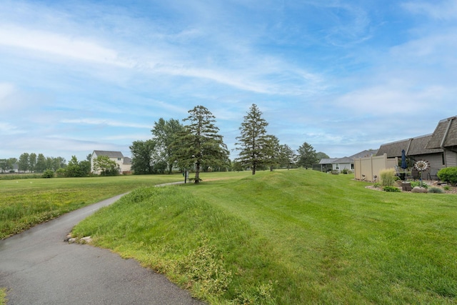 102 Terrace Vw E, Decoria Twp, MN 56001 - view of green lawn