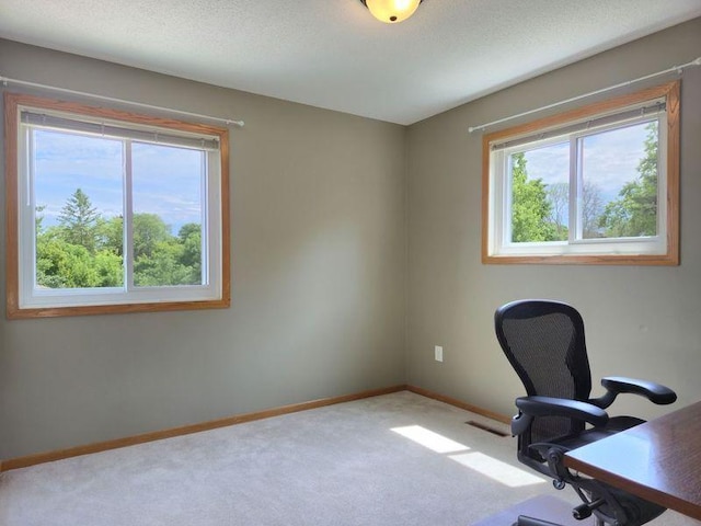 2539 Wimbledon Pl, Woodbury, MN 55125 - photo 19