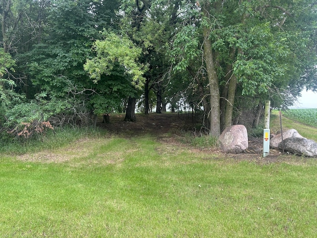 LOTS1 Mary Ln NW, Millerville Twp, MN 56315 - photo 3
