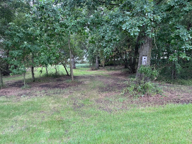 LOTS1 Mary Ln NW, Millerville Twp, MN 56315 - photo 16