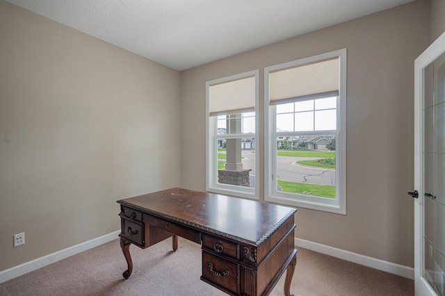 6430 Bluestem Cir, Corcoran, MN 55340 - office space with carpet floors