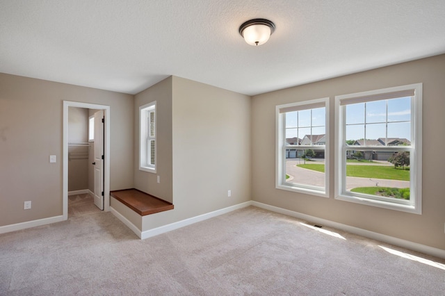 6430 Bluestem Cir, Corcoran, MN 55340 - unfurnished room featuring light colored carpet and baseboards