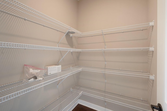 6430 Bluestem Cir, Corcoran, MN 55340 - view of pantry