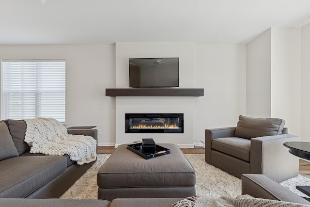 6645 Jody Ave S, Cottage Grove, MN 55016 - living room with wood finished floors and a glass covered fireplace