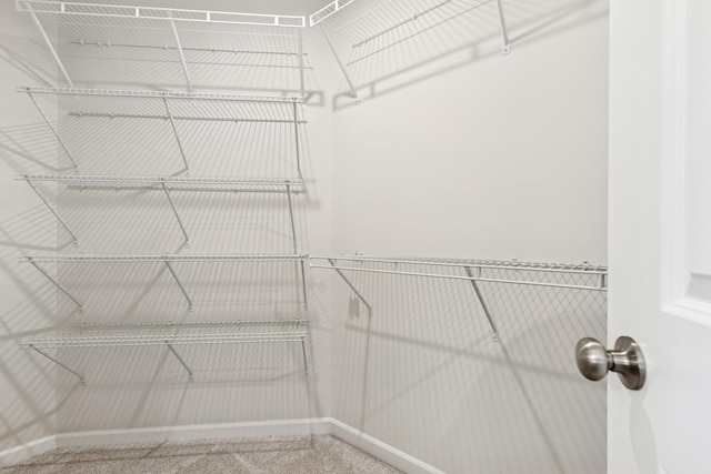6645 Jody Ave S, Cottage Grove, MN 55016 - spacious closet with carpet