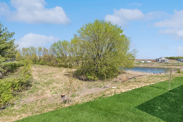 6645 Jody Ave S, Cottage Grove, MN 55016 - view of grassy yard