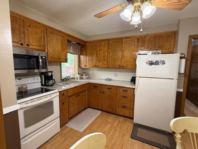 688 Miller Ave, Windom, MN 56101 - kitchen featuring white appliances, light wood-style flooring, and brown cabinets