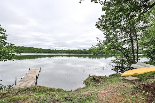 19566 Early Bird Dr, Park Rapids, MN 56470 - dock featuring a water view