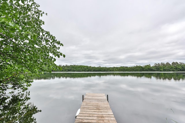 19566 Early Bird Dr, Park Rapids, MN 56470 - dock with a water view and a forest view