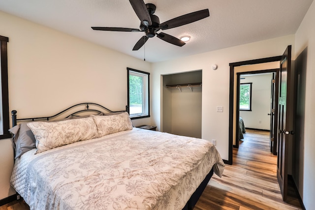 19566 Early Bird Dr, Park Rapids, MN 56470 - bedroom featuring a closet, light wood-style flooring, and ceiling fan