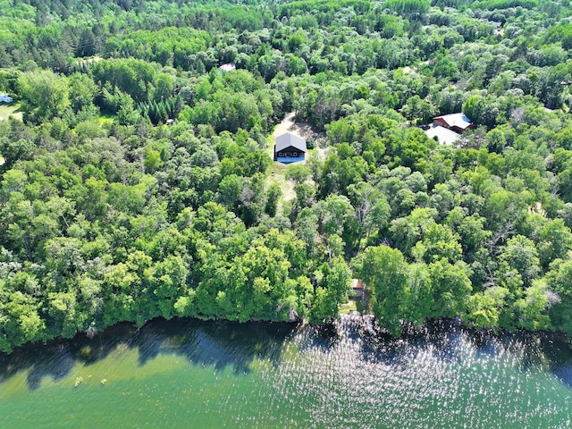 19566 Early Bird Dr, Park Rapids, MN 56470 - aerial view of a heavily wooded area and a nearby body of water