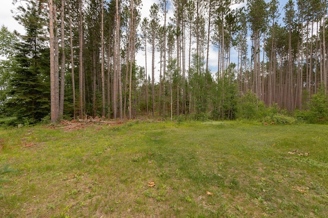 3488 State 200 NW, Walker, MN 56484 - photo 17