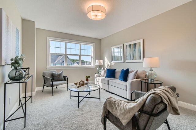 7317 Agate Trl, Inver Grove Heights, MN 55077 - photo 13