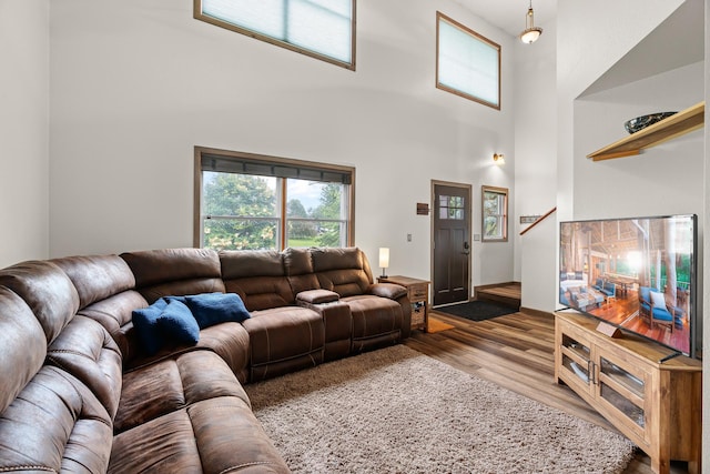 876 162nd St, Hammond, WI 54015 - living room with wood finished floors and a towering ceiling