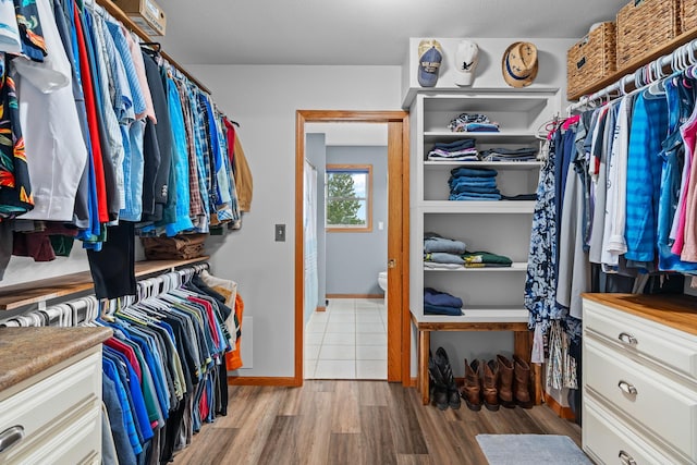 876 162nd St, Hammond, WI 54015 - walk in closet featuring light wood-style flooring