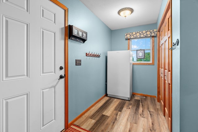 876 162nd St, Hammond, WI 54015 - entryway featuring wood finished floors and baseboards