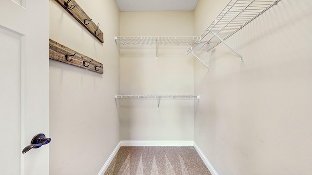 405 Meadow Ln, Norwood Young America, MN 55397 - photo 13