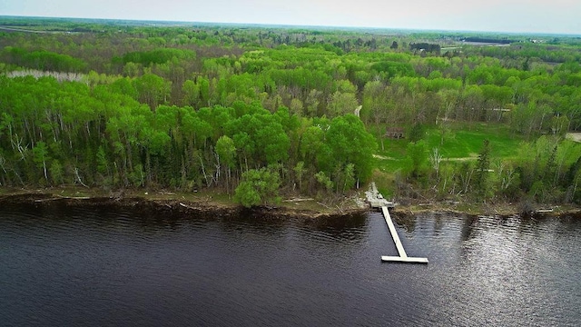 LOT7-TBD Driftwood Ln NW, Baudette, MN 56623