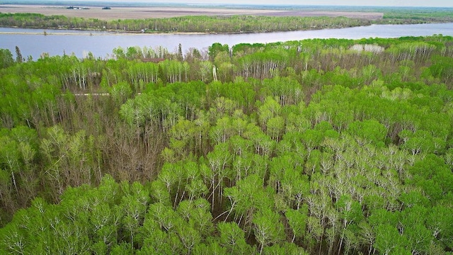 LOT7-TBD Driftwood Ln NW, Baudette, MN 56623