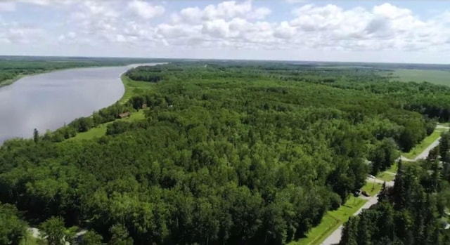 LOT7-TBD Driftwood Ln NW, Baudette, MN 56623