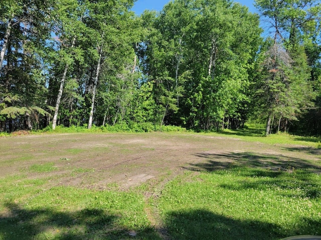 LOT7-TBD Driftwood Ln NW, Baudette, MN 56623