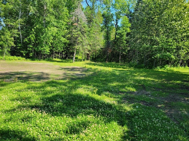 LOT7-TBD Driftwood Ln NW, Baudette, MN 56623