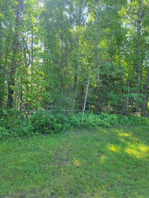 LOT7-TBD Driftwood Ln NW, Baudette, MN 56623