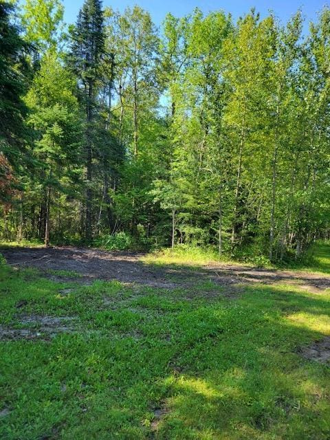 LOT7-TBD Driftwood Ln NW, Baudette, MN 56623