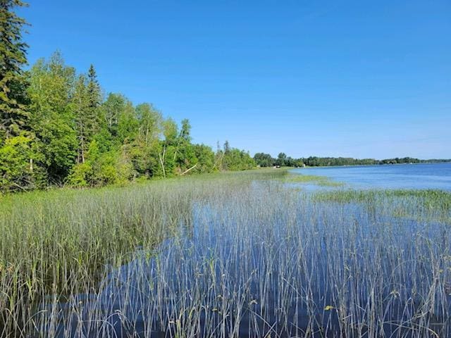 LOT7-TBD Driftwood Ln NW, Baudette, MN 56623