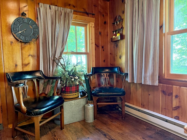 21393 324th Pl, Lakeside Twp, MN 56342 - living area featuring a baseboard radiator, wood walls, wood finished floors, and plenty of natural light