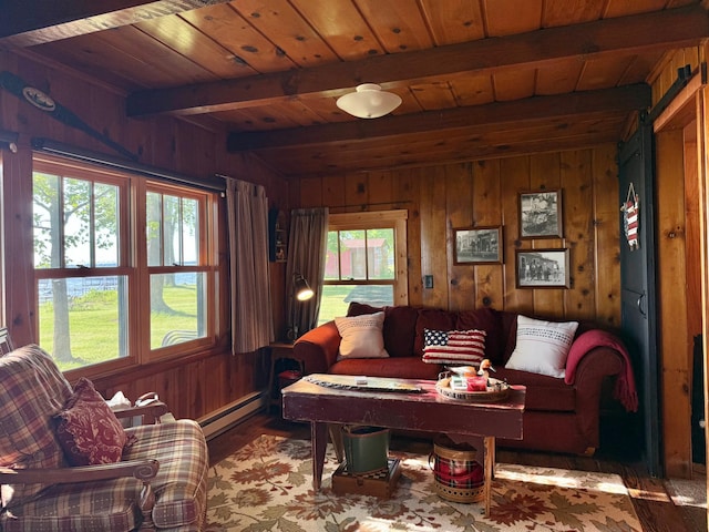 21393 324th Pl, Lakeside Twp, MN 56342 - living area featuring wooden walls, a baseboard heating unit, a barn door, plenty of natural light, and wood finished floors
