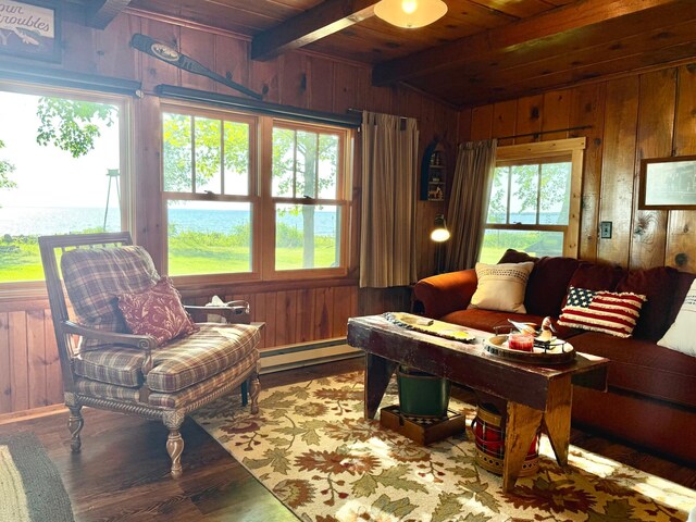 21393 324th Pl, Lakeside Twp, MN 56342 - living area with wood walls, baseboard heating, wood finished floors, and wood ceiling