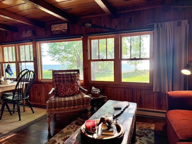 21393 324th Pl, Lakeside Twp, MN 56342 - sunroom with baseboard heating, beamed ceiling, and french doors