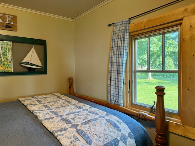 21393 324th Pl, Lakeside Twp, MN 56342 - bedroom with ornamental molding and carpet