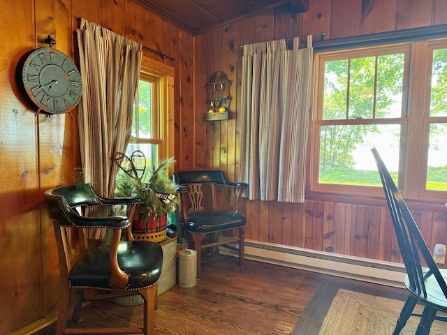 21393 324th Pl, Lakeside Twp, MN 56342 - living area featuring wooden walls, wood finished floors, and baseboard heating