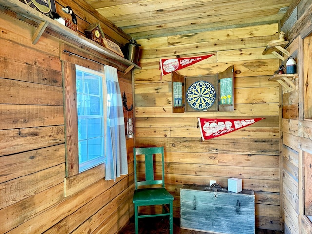 21393 324th Pl, Lakeside Twp, MN 56342 - sitting room featuring wooden walls and wooden ceiling
