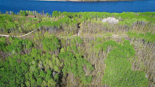 LOT8-TBD Driftwood Ln NW, Baudette, MN 56623