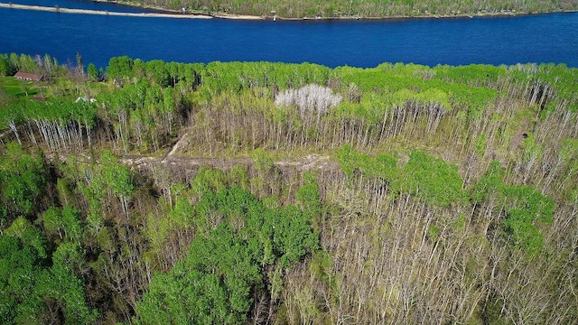 LOT9-TBD Driftwood Ln NW, Baudette, MN 56623