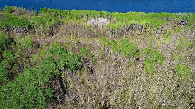 LOT9-TBD Driftwood Ln NW, Baudette, MN 56623