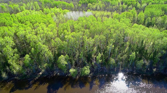 LOT9-TBD Driftwood Ln NW, Baudette, MN 56623