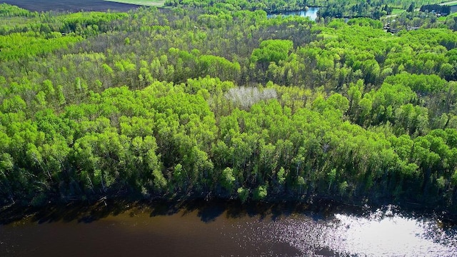 LOT9-TBD Driftwood Ln NW, Baudette, MN 56623