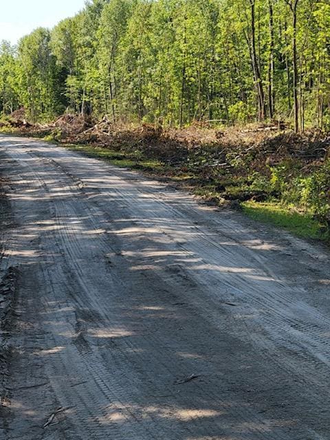 LOT9-TBD Driftwood Ln NW, Baudette, MN 56623