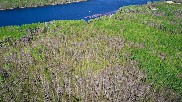 LOT11-TBD Driftwood Ln NW, Baudette, MN 56623