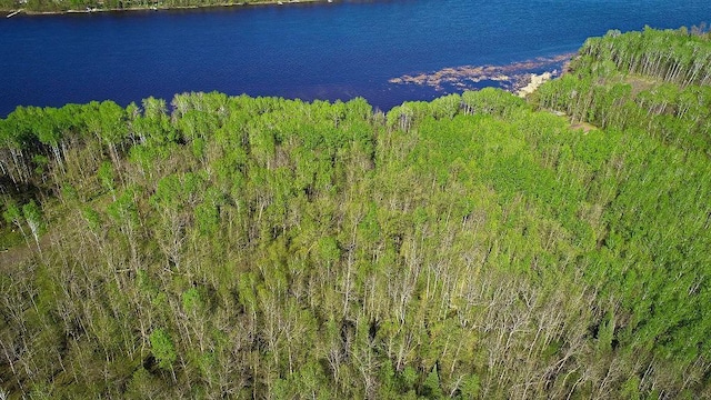 LOT11-TBD Driftwood Ln NW, Baudette, MN 56623