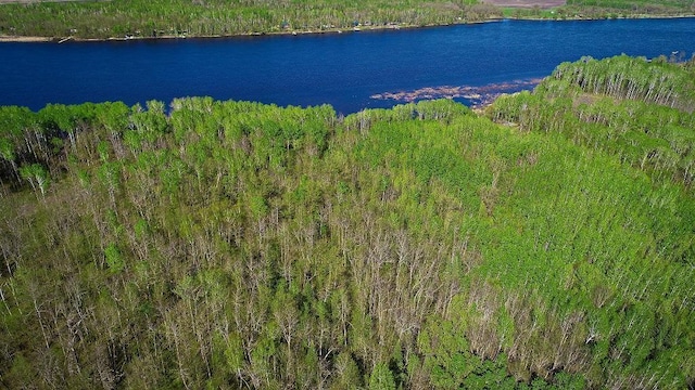 LOT12-TBD Driftwood Ln NW, Baudette, MN 56623