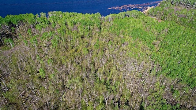 LOT12-TBD Driftwood Ln NW, Baudette, MN 56623