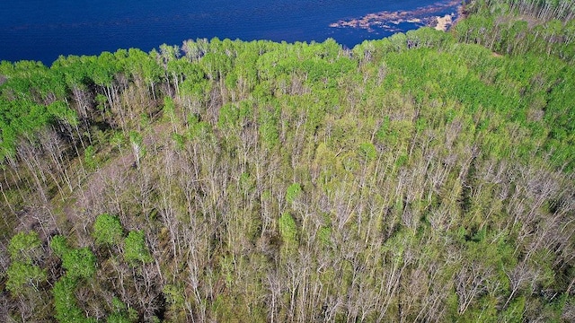 LOT12-TBD Driftwood Ln NW, Baudette, MN 56623